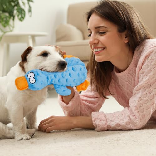 Halinuia Hundespielzeug, Hund Quietschspielzeug Plüschtier Hund mit Knitterpapier, Plüsch Kauspielzeug für Aggressive Kauer, Welpen, kleine, mittlere Hunde, Blau