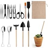 BORISCA 15 Piezas Mini Herramientas para Bonsai Kit Juego de Herramientas de Suculentas para Plantar, Trasplantar o Aflojar el Suelo Jardineria Interior Contiene Mini Pala Jardineria, Rastrillo Jardin
