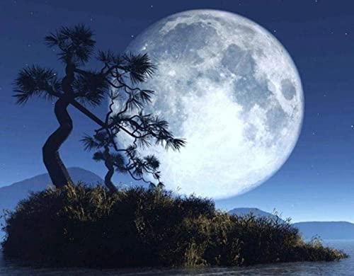 Peinture au diamant 5D arbre sous la lune broderie diamant plein 30x40 cm