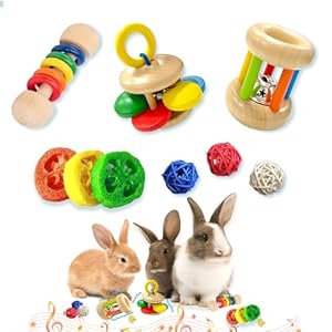 QWR 9PCS Wooden Rabbit Toys for Indoor Bunnies,Safety Bunny Chew Toys for Bunnies Boredom,Multi-Colored Rabbit Teeth Grinding Toys for Chinchillas Hamsters Guinea Pigs Gift