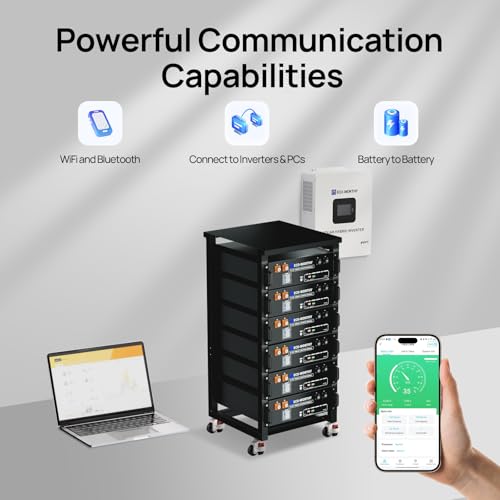  ECO-WORTHY 48V 100Ah LiFePO4 Lithium Battery for Off-Grid Backup Power with Bluetooth, 6000 Cycles, 3U Chassis
| ECO-WO
