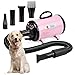 XKISS Secador Pelo Perro 4.3HP/3200W Velocidad Continua y Temperatura Ajustable secador de Mascotas Viene con 4 Accesorios.（Rosa）