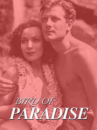 Bird of Paradise