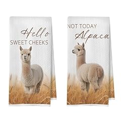 Alpaca