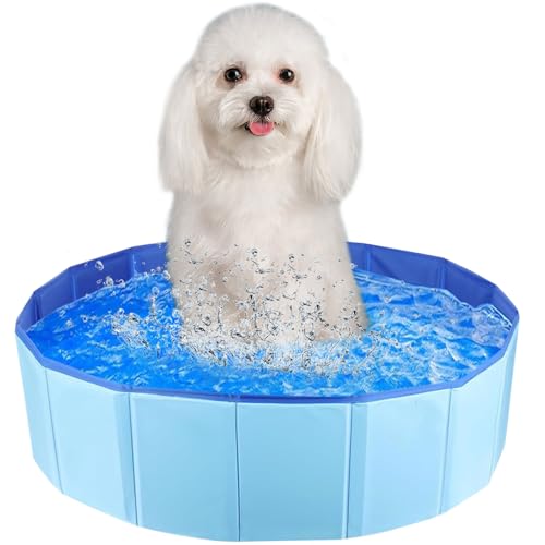 Faltbarer Hundepool,Hundepool Klein,Hunde Planschbecken,Planschbecken für Haustiere,Hund Schwimmbecken Tragbare,Hundepool Schwimmbad,PVC Hunde Pool für Kleine Hunde Katze(50x8cm) Faltbarer Hundepool,Hundepool Klein,Hunde Planschbecken,Planschbecken für Haustiere,Hund Schwimmbecken Tragbare,Hundepool Schwimmbad,PVC Hunde Pool für Kleine Hunde Katze(50x8cm)