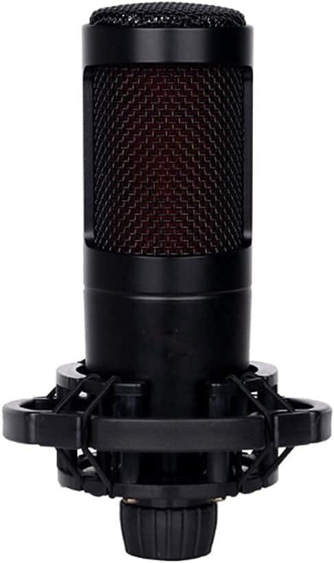 Microphone pour enregistrement vocal ELzEy de studio et chant karaoké à la maison