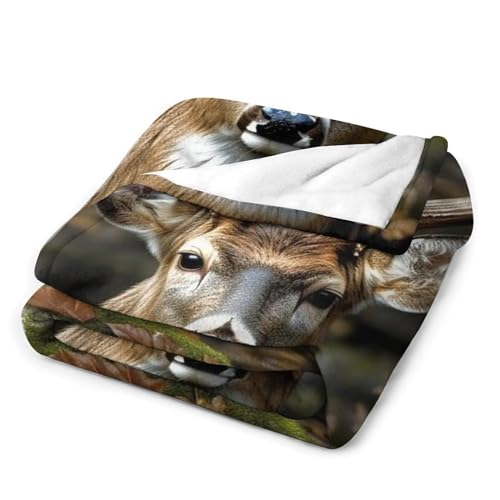 Couverture flanelle confortable de qualité supérieure avec peluche lit