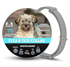 Collar Antiparasitario Perros | 2 Collares Antipulgas 16 Meses | Collar Leishmaniosis (Mosquitos), Pulgas y Garrapatas | Perros Medianos y Pequeños 38cm Ajustable, Repelente Vegetal, Impermeable