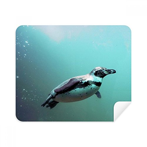 Chiffon lunettes pingouin antarctique pour garder vos écrans propres au bureau