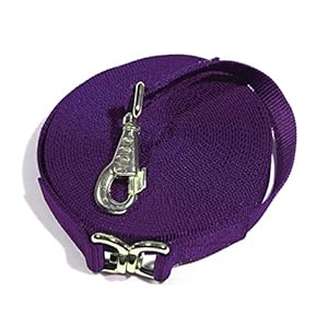 Kensington Flat Nylon Lunge Line – Horse & Dog Training Rope Equipment with Brass Swivel Bolt Snap – 1 inch x 30 ft.