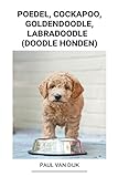 Poedel, Cockapoo, Goldendoodle, Labradoodle (Doodle Honden)