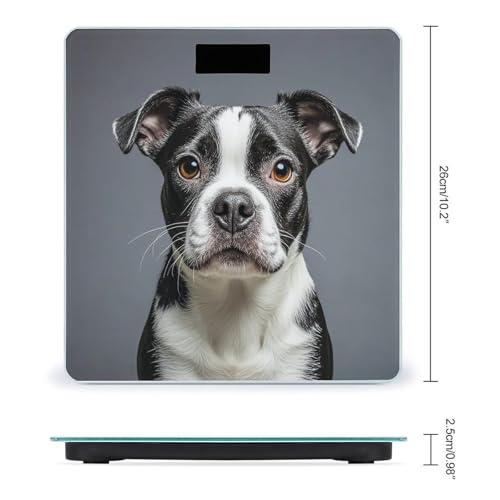 Báscula Digital de Baño FekiLoot con Plataforma Amplia miniatura 2