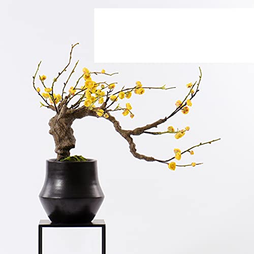 Simulation mousse arbre artificiel bonsaï pour coin lecture et étagère