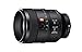 Sony SEL100F28GM 100mm f2.8 Medium-telephoto Fixed Prime Camera Lens, Black