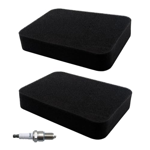 YGQ 17211-899-000 Air Filter with Plug