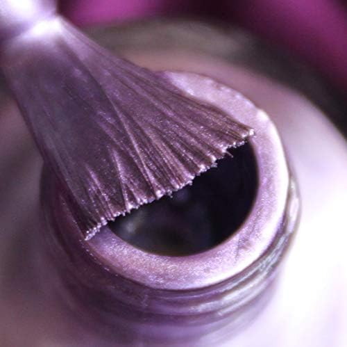 Image of DeBelle Gel Nail Polish Chrome Wine(Metallic Violet Nail Paint)|Non UV - Gel Finish |Chip Resistant | Seaweed Enriched Formula| Long Lasting|Cruelty and Toxic Free| 8ml