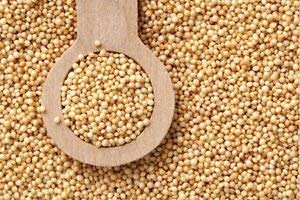 Vasuki Jai Jinendra Fasting Food Rajgira Peeth, Ramdana Fasting (Upwas) Flour,Amaranth Whole/Rajgiri ka Whole - 1 kg