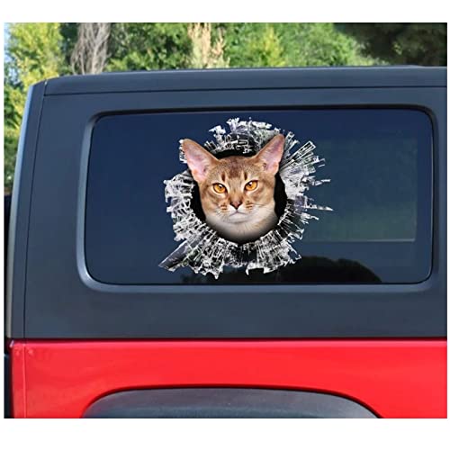 WYZDGTD Etiqueta engomada de la Ventana del Gato Abisinio Etiqueta de la Ventana del Gato Abisinio Etiqueta engomada de la Ventana del Gato Etiqueta Divertida 2 Piezas Lado más Largo 21 Cm Cover