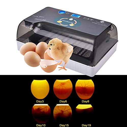 Digital Fully Automatic Egg Incubator Hatching 435 Eggs Temperature Control Hatching Equipment