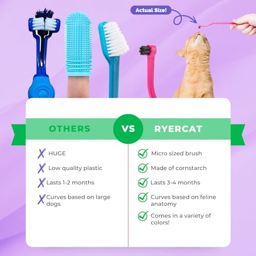 Ryercat Dual Sided Cat Toothbrush  Kitten Toothbrush with Micro Head to Fit into Catkittens Mouth  Cat Dental Care Supplies  Pet Toothbrush for Cats shamrock  Cucciolini Doodles Ryercat dual sided cat toothbrush  kitten toothbrush with micro head to fit into catkittens mouth  cat dental care supplies  pet toothbrush for cats shamrock   cucciolini doodles