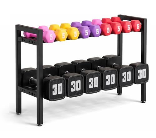 Image of WINSTAR 2-Tier Adjustable Dumbbell Rack | Heavy-Duty Home Gym Weight Storage Stand for Dumbbells & Kettlebells | Space-Saving Home Gym Organizer (Rack Only, Black)