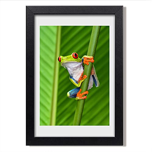 Cadre photo 20x30 cm en bois de qualité supérieure et tableau de rainette Tulup