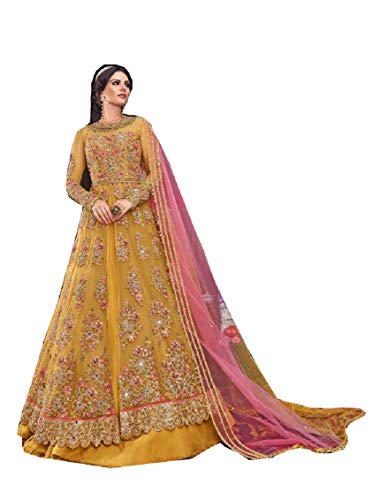 Delisa Indian/Pakistani Bollywood/eid wear Party Wear Long Anarkali Gown for Womens 6103