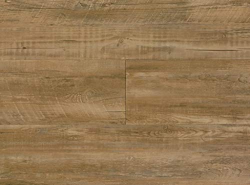 COREtec Plus St. Andrew's Oak Engineered Vinyl Plank 8mm x 7" 50LVP209 Sample
