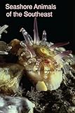 Seashore Animals of the Southeast a Guide to Common Shallow-Water Invertebrates of the Southeastern Atlantic Coast