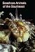 Seashore Animals of the Southeast a Guide to Common Shallow-Water Invertebrates of the Southeastern Atlantic Coast