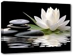 LZIMU Zen Canvas Wall Art White Lotus and Black Zen Stones Bloom in Water Picture Prints for Yoga Spa Meditation Spiritual Room Bathroom Decor (Zen-1, 12"x18")