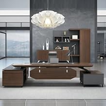 OUDINI Mid Century Modern Writing Study Desk Executive Desk Table Top Computer Desk Office Executive Desk Stand Up Desk, 2.2m
