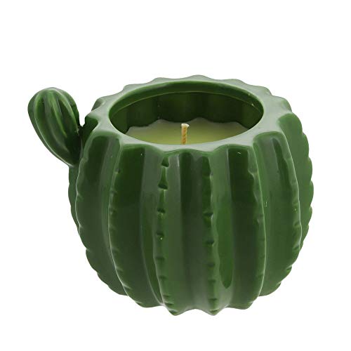 Best Cactus Candle Holder 2023 Where to Buy?