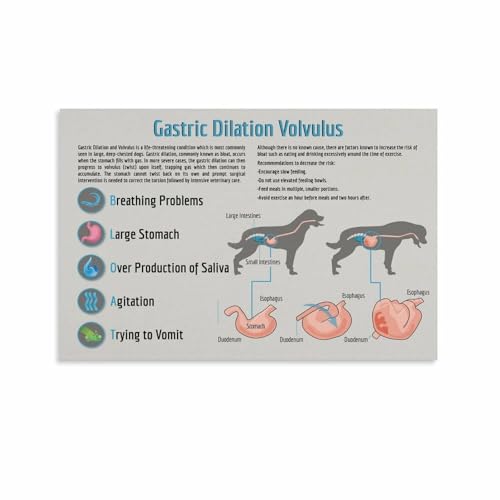 Understanding Pet Bloat Or Twisted Stomach Poster Veterinary Hospital (5)