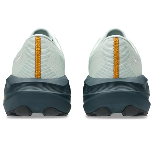 ASICS ASICS Men's NOVABLAST 5 Trail Running Shoes, 10, Nature Bathing/Lichen Rock