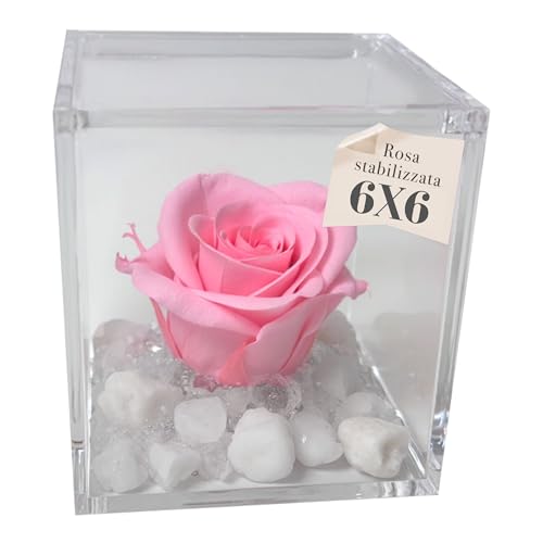 VITALITÀ E GLAMOUR - La rosa rosa stabilizzata sprigiona raffinatezza, ed è un regalo per celebrare l'amicizia. Indicato per ragazze e amanti dei colori delicati, è ideale da dare per compleanni, ricorrenze importanti e momenti felici da celebrare.