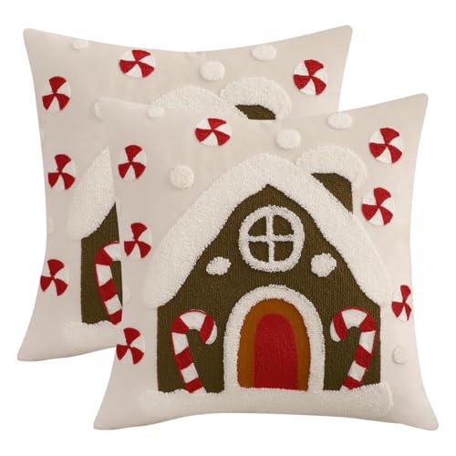 LUOYEHK Christmas Pillow Covers 18x18 Set of 2 Snowflakes and