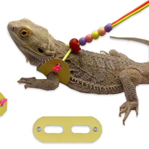 Pacote com 3 arnês de dragão barbudo e coleira ajustável (P, M, G) – Coleira de lagarto de réptil de