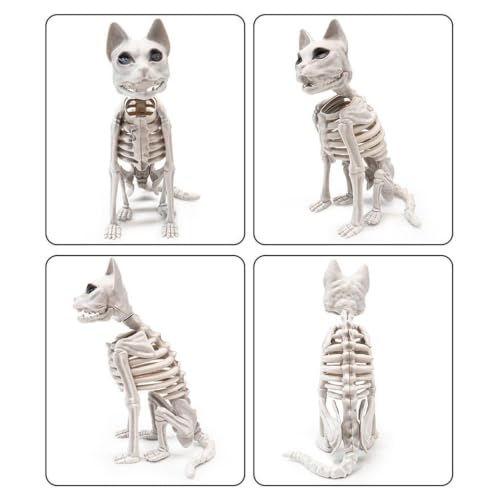 Squelette de chat d Halloween modèle de sculpture réaliste et durable - 7