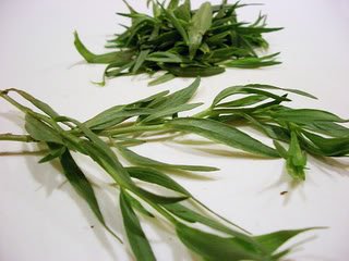 100 Tarragon - French / Kitchen / Common / Dragons Wort - Artemisia Dracunculus Flower Herb Seeds #TOP4