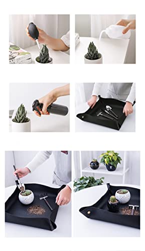 Kit de Herramientas para Plantas Suculentas 14 Piezas miniatura 6