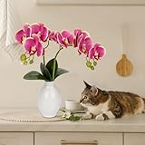 Décoration : dotée de deux grandes tiges d'orchidées décoratives, cette pièce améliore divers espaces tels que les salons, les chambres et les bureaux ou sert de superbe centre de table.