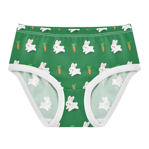 Cute Bunny Rabbit Carrot Green Toddler Girls's Underwear 2T 2302238