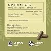 HERBAMAMA Chicory and Goldenseal Kit - Bundle of Chicory Root Capsules 100 & Goldenseal Root Capsules - Vegan, Non-GMO, Gelatin-Free - 2 Pack