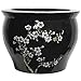Classic Japanese Chinese Asian Ceramic Planter - 14" Plum Blossoms on Black Porcelain Pottery Fishbowl Jardiniere