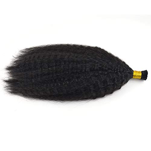 Afro kinky curly I Tip hair extension 100% human hair 1g/strand 100g natural color virgin hair (16, Natural Color)_AB