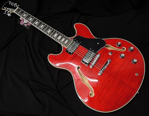 Amazon | Sire Larry Carlton H7 STR サイアー ラリーカールトン