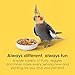 Kaytee Fiesta Cockatiel Food, Nutritious and Fun Blend, Supports Skin, Feather, Digestion, Brain and Heart Health, 4.5 pounds