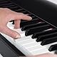 M-Audio Hammer 88 - Hochwertiger 88-Tasten Hammermechanik USB/MIDI Keyboard Controller inklusive einer Software Suite auf Studio-Niveau, 1 Stück