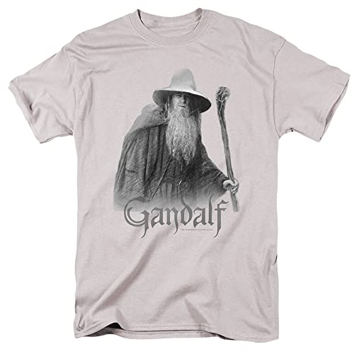 Popfunk Lord of The Rings Gandalf The Grey Unisex T-Shirt (Large) Silver